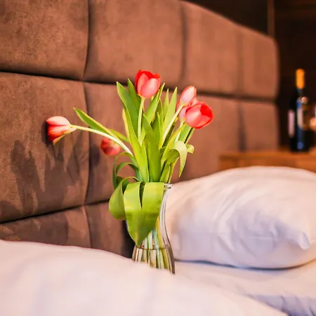 Boogie Aparthouse Old Town فروتسواف