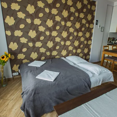 Boogie Aparthouse Old Town فروتسواف