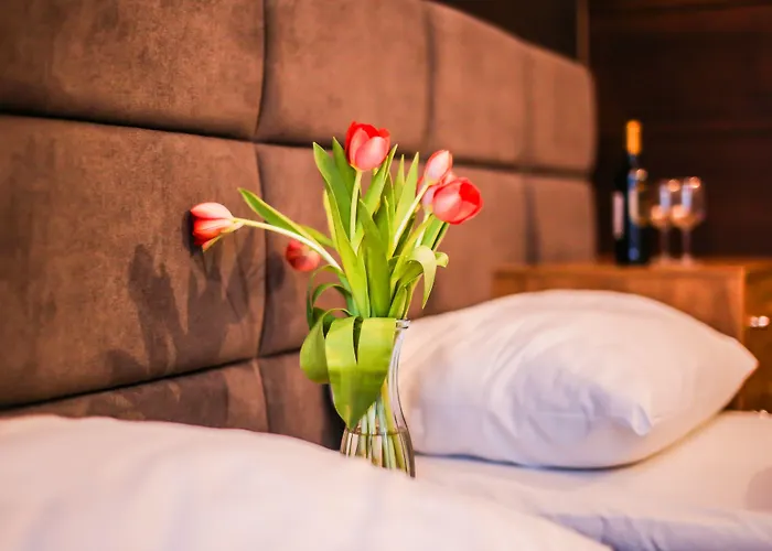 Boogie Aparthouse Old Town ורוצלב